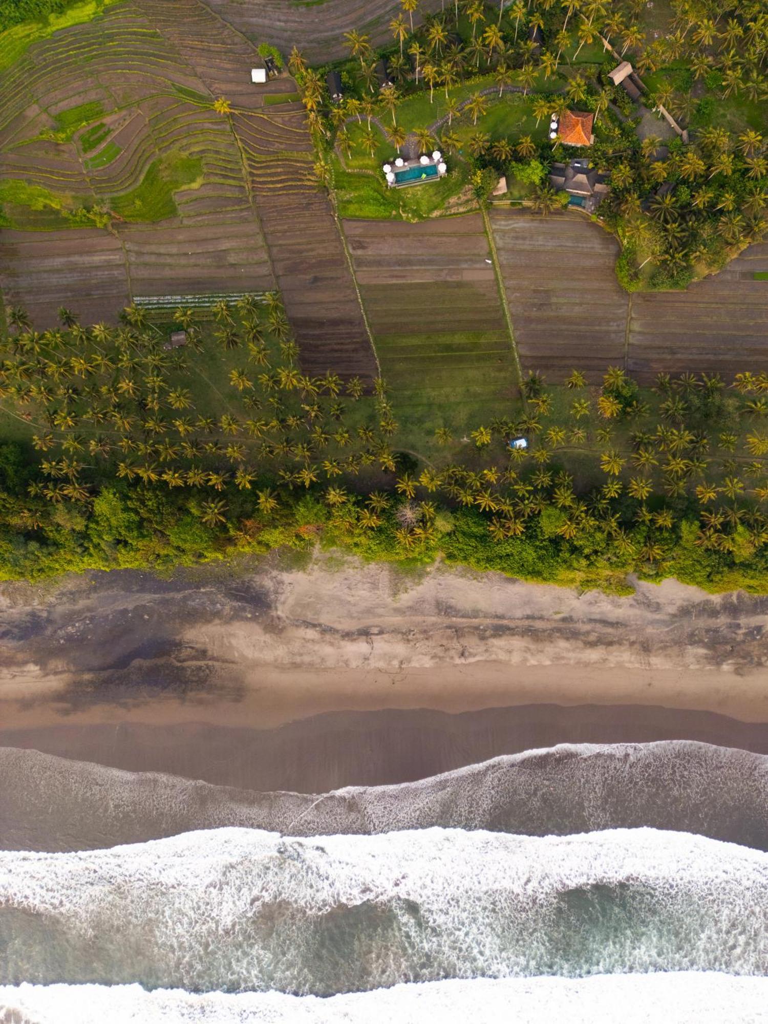 Desa Cabins Balian Exteriör bild